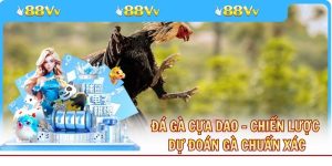 Đá Gà Cựa Dao - Chiến Lược Dự Đoán Gà Thắng Chuẩn Xác