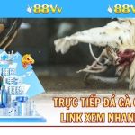 Trực Tiếp Đá Gà C1 Hôm Nay - Link Xem Nhanh Và Chuẩn