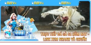 Trực Tiếp Đá Gà C1 Hôm Nay - Link Xem Nhanh Và Chuẩn